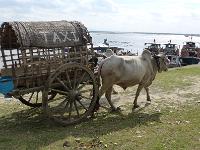 7 - Mandalay - (Mingun et Thone Se Pay)  (29)